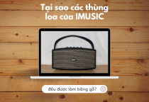 SỰ THẬT ÍT AI BIẾT: VÌ SAO THÙNG LOA THƯỜNG ĐƯỢC LÀM BẰNG GỖ?