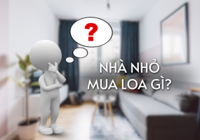 Ở PHÒNG TRỌ, CĂN HỘ NHỎ NÊN MUA LOA GÌ? REVIEW CHI TIẾT BỘ ĐÔI LOA XÁCH TAY SX666 & SX888