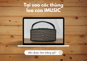 SỰ THẬT ÍT AI BIẾT: VÌ SAO THÙNG LOA THƯỜNG ĐƯỢC LÀM BẰNG GỖ?