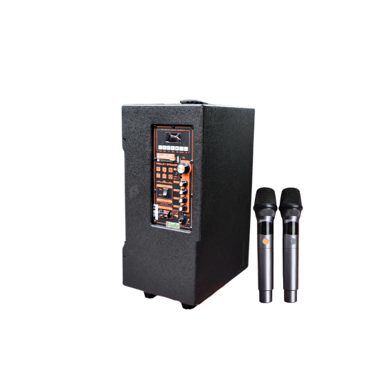 LOA KARAOKE DI ĐỘNG IMUSIC ST 25D
